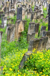 Tombstones at the Jewish cemetery, since 1866, Czernowicz, Bukovina, Ukraine