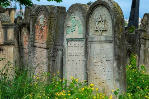 Tombstone with fabulous reliefs of various Jewish symbols, Jewish cemetery, since 1866, Czernowicz,