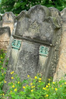 Tombstone with column relief and Star of David, Jewish cemetery, since 1866, Czernowicz, Bukovina,