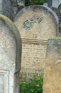 Tombstone with relief of flower, Jewish cemetery, since 1866, Czernowicz, Bukovina, Ukraine