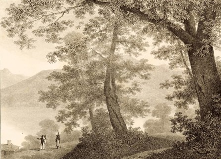 Villa Sommariva garden, now known as Villa Carlotta, is located in Cadenabbia on Lake Como, 1860,