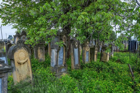 Old tombstones at the Jewish Cemetery, Czernowicz, Bukovina, Ukraine