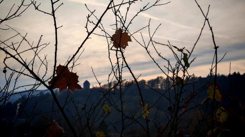 Branches with scattered leaves against a foggy sky, a castle silhouette in the background,