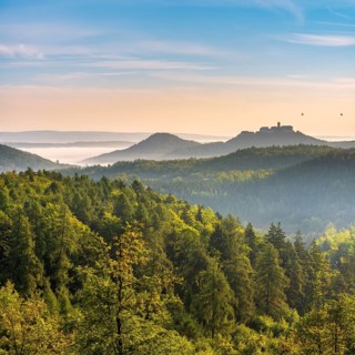 View of endless green forests of Wartburg in the Thuringian Forest in morning light, fog and haze