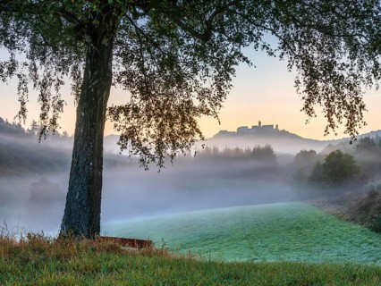 View of Wartburg Castle in the Thuringian Forest at sunrise, morning fog and dawn, birch with bench