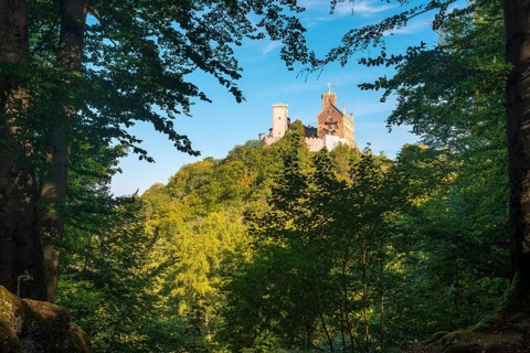View of Wartburg through trees in the Thuringian Forest, Eisenach, Thuringia, Germany