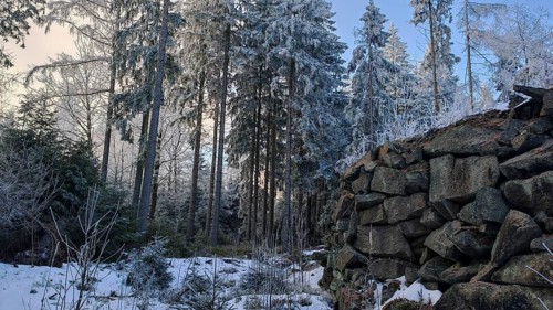 Cold winter picture with a pile of stones in the forest, old quarry surrounded by snow-covered
