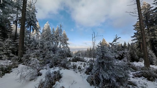 A vast area of forest in winter with snow-covered trees under a cloudy blue sky, Fichtelgebirge