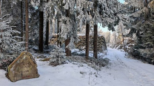 A snow-covered forest trail leads past an old structured ruin at Brauchrangenbruch, surrounded by