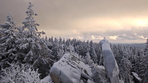 Snow-covered landscape with rocks and trees (picea) in the light of dawn under a cloudy sky,