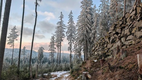 Wintery forest with snow-covered trees and rock formations under cloudy sky, quarry, atmospheric,