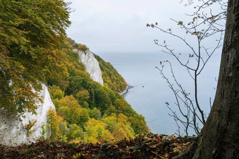 Victoria view of Königsstuhl, chalk cliffs and Baltic Sea, trees with autumn colors, Jasmund