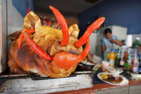 A suckling pig (porcus) with colourful accents in a lively restaurant ambience, Ecuador