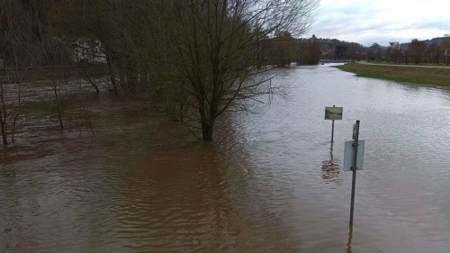 Flooded landscape with half-submerged trees and cloudy water, winter floods after snowmelt,