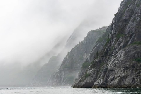 Mystical fog wraps around rock walls in a fjord, Northwestern Fjord, Kenai Fjords National Park,