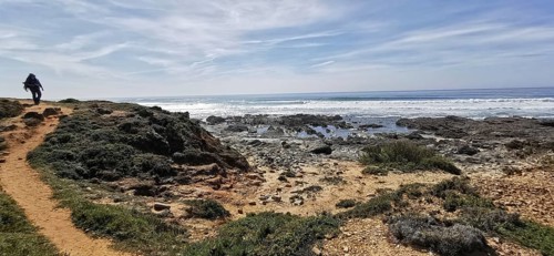A hiker on a trail next to the rocky coast, Southwest Alentejo Natural Park and Vicentina Coast,