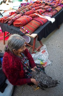 Mayan woman in traditional clothing with a chicken, traditional fabrics in the back, market in