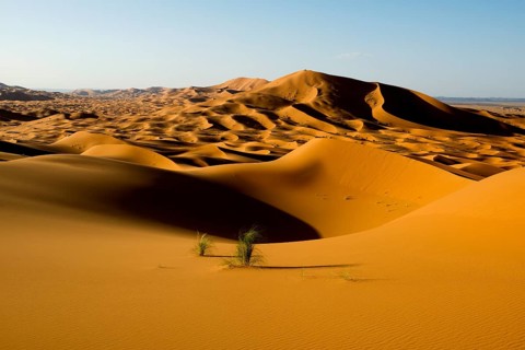 Sand dunes, sunset, near Merzouga, Meknès-Tafilalet region, Erg Chebbi, northern Sahara, Morocco