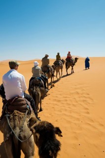 Tourists on dromedaries in the desert, near Merzouga, Meknès-Tafilalet region, Erg Chebbi, northern