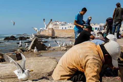 Fishermen and seagulls on the promenade, Essaouira, UNESCO World Heritage Site, Atlantic coast,