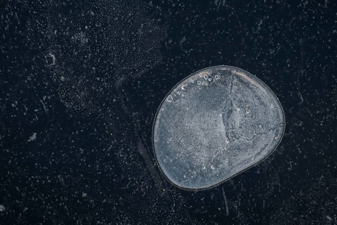 Air bubble in the ice of a frozen lake in winter, Finland