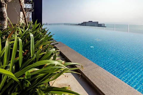Relaxing infinity pool with ocean views, surrounded by plants, modern ambiance