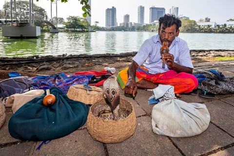 Man playing a wind instrument in front of baskets on the riverbank with an urban background