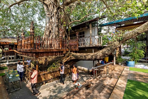 A sacred tree in a religious site with people praying underneath, surrounded by wooden structures,
