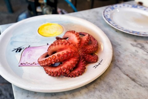 Octopus, octopus or pulpo, delicacy, painted plate, cooked, suction cups, Mediterranean cuisine,
