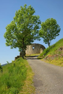 Griffen Castle Ruins, Schlossberg, Griffen, Carinthia