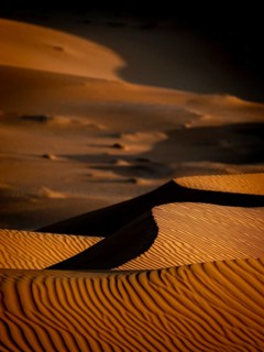 Sand dunes in the Rhub al Khali desert, detailed view, empty quarter, largest sandy desert in the