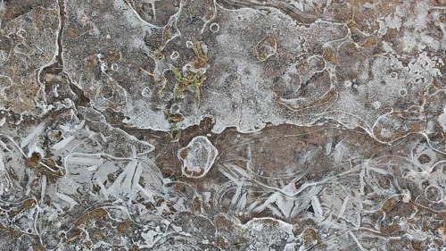 Detailed view of a frozen and structured surface, Franconian Forest