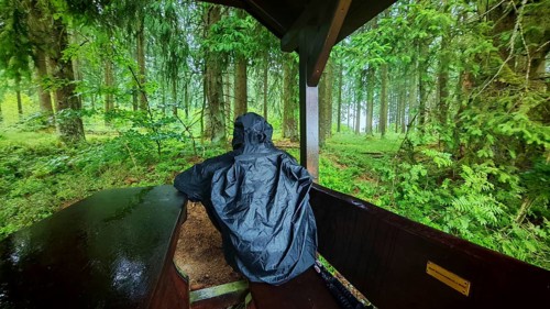 Person under a wooden shelter in a rainy forest, surrounded by lush greenery, Fichtelgebirge, Upper