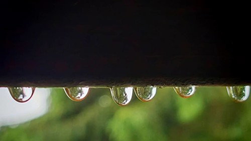 Close-up of water droplets hanging on a dark surface, Rennsteig, Thuringian Forest