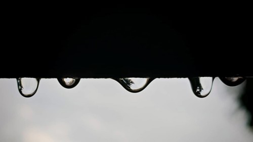 Drops of water hang on a dark surface, blurred reflections in the background, Rennsteig, Thuringian