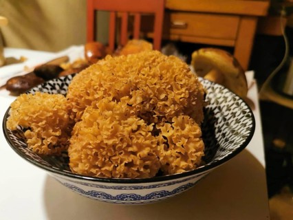 Mushrooms in a bowl on a laid table in a cosy atmosphere, Wood Cauliflower fungus (sparassis
