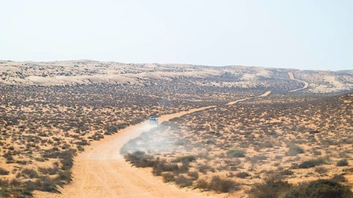 Car drives over sandy road, Wahiba Sands desert, Oman