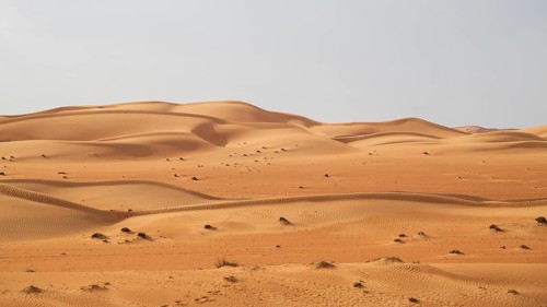Sand dunes in the Wahiba Sands desert, Oman