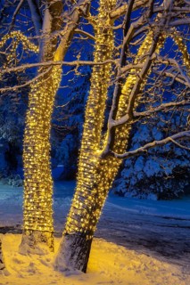 Large tree trunks decorated with illuminated Christmas lights and covered with winter like snow in