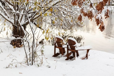 Two brown stained wooden Adirondack chairs by riverside framed by Salix - Willow and Quercus - Oak