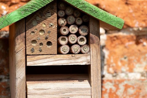 Bee or bug hotel or insect house on a brick wall in a garden, England, United Kingdom