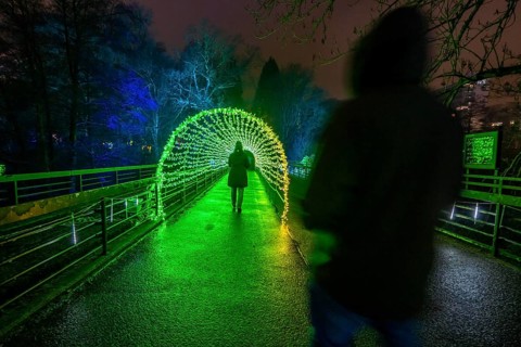 Park lights, events in winter, in the Grugapark in Essen, many different light installations,