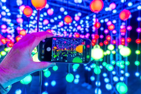 Park lights, winter event, in the Grugapark in Essen, many different light installations, across