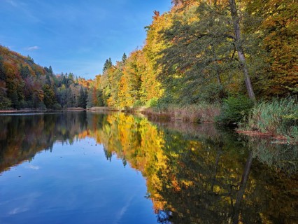 Egelsee in autumn-colored surroundings, Bergdietikon, Canton of Aargau, Switzerland