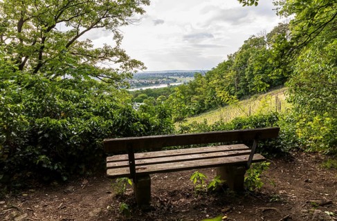 Bench with view of the Elbe with Blue Wonder, Royal Vineyard Wachwitz, Dresden, Saxony, Germany