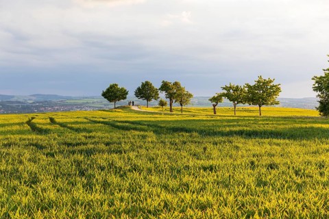 Rockauer Höhe vantage point (Sachsens Hiefel) is located far above the Elbe Valley and offers a