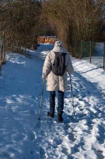 Elderly woman walking on a snow-cut path with sticks, Franconia, Bavaria, Germany