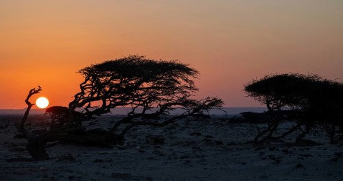 Sunset on the coast near Khahil, Oman