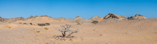 Barren landscape near Duqm, Oman