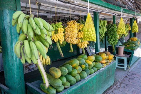 Fruit stand with bananas, Oman